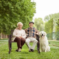 Costway Outdoor Wooden Wagon Wheel Garden Bench 2-Person Slatted Seat Armrests Rustic